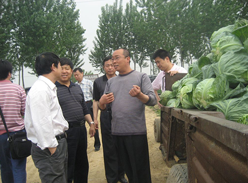 董事长接待北京农业局领导来公司基地视察