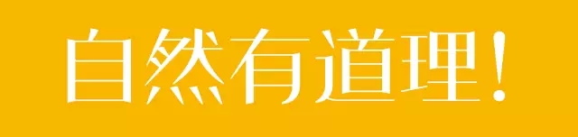 1.webp 1.webp