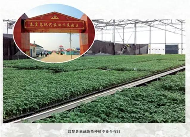 jiacheng1 jiacheng1