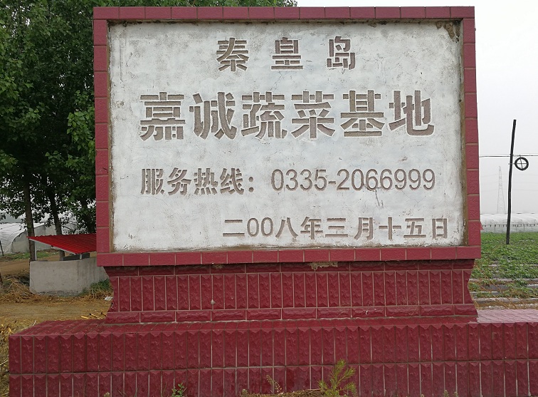 1 1