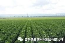 微信图片_20180224100958 微信图片_20180224100958