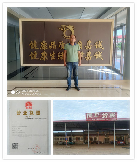 营业执照模板国平货站_副本