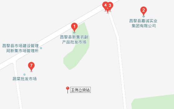 王伟立13 王伟立13