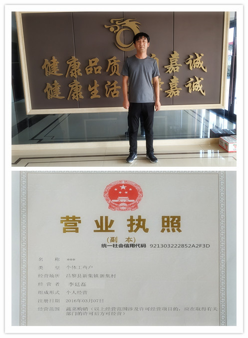 营业执照模板_小波3副本