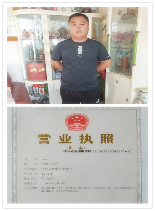 营业执照模板_苟万彬副本
