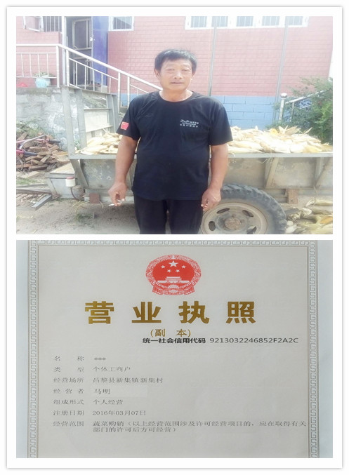 营业执照模板_马明副本